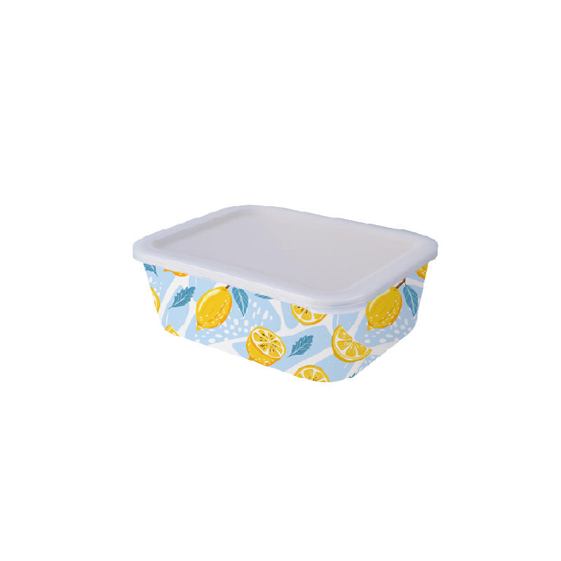 Blank children's lunch box MX-802